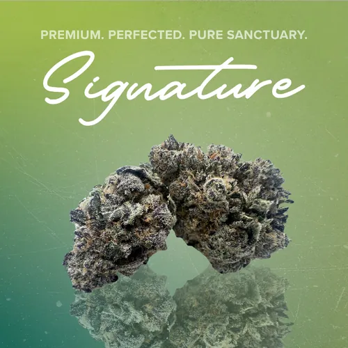 Pink Milk Signature - 3.5g from  product image