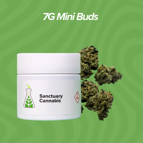Chem Cake Mini Buds - 7g by Sanctuary Medicinals - 7.000g Smalls