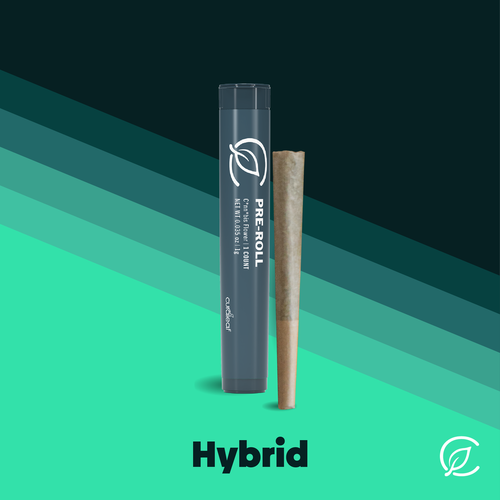 Wedding Mint (H) - 