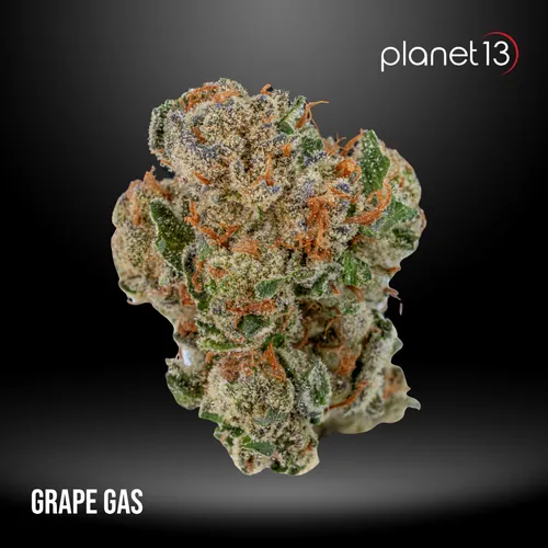 Grape Gas 14g Pouch Tier 1 from  product image