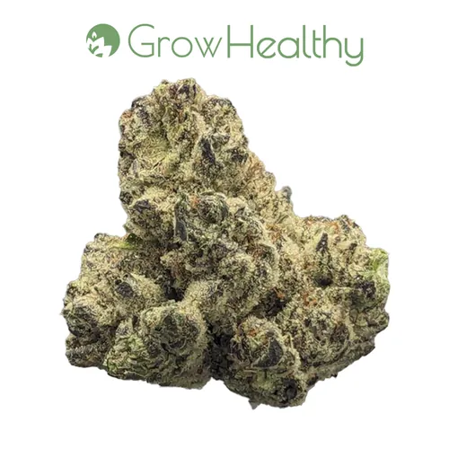 Queso Perro Flower from  product image