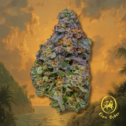 Runna Gyal from  product image