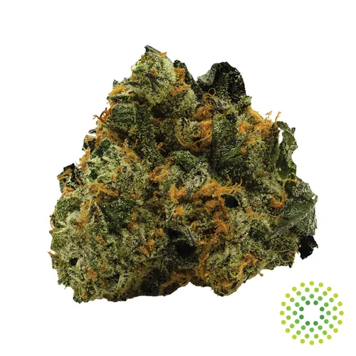 Iron Lion - Whole Flower 3.5G by Trulieve - 3.500g Whole