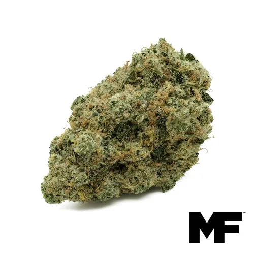 Road Warrior - Whole Flower 3.5G by Modern Flower - 3.500g Whole