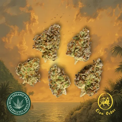 Rhum Cake by Lion Order - 3.500g Smalls