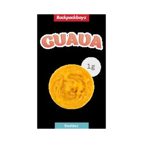 Live Resin Badder 1G - Guava by Backpack Boyz - 1.000g Badder