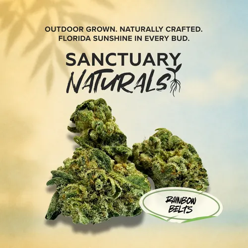 Sanctuary Naturals Rain. Belts