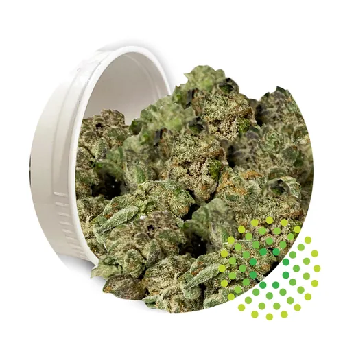 Tropical Cream Cake - Whole Flower 14G by Trulieve - 14.000g Whole