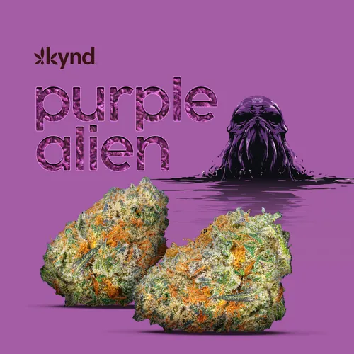 Purple Alien -  cannabis product