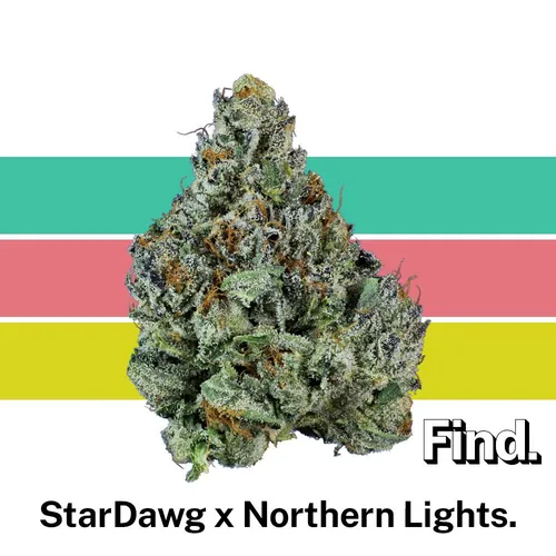 StarDawg x Northern Lights by Find. - 3.500g Whole