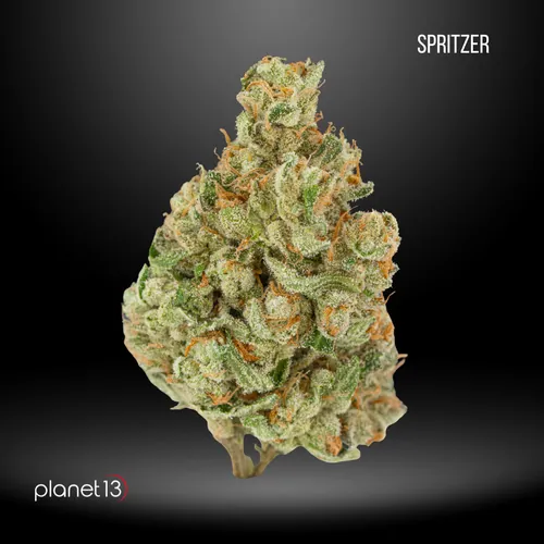 Spritzer 1/4oz Tier 1 from  product image