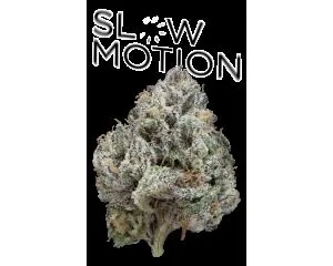 Slow Motion #8 Eighth - 