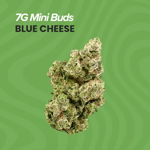 image of 7g Mini Buds Blue Cheese