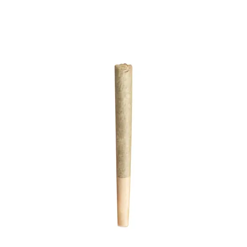 Super Boof - 