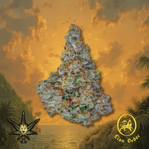 King Clementine from  product image