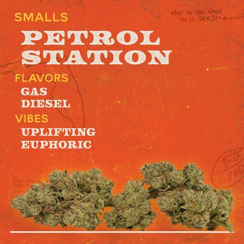 {'strain': 'Petrol Station 7g Smalls Sativa', 'strain_type': 'Sativa', 'company': 'Sunburn', 'brand': 'Sunburn', 'price': Decimal('55.00'), 'regular_price': Decimal('55.00'), 'thc': Decimal('30.50'), 'cbd': Decimal('0.00'), 'terps': Decimal('0.00'), 'grams': Decimal('7.042'), 'dollars_per_thcg': Decimal('25.610'), 'dollars_per_g': Decimal('7.810'), 'product_format': 'Flower', 'product_sub_format': 'Smalls', 'dispensary_cities': ['Jacksonville Beach'], 'main_url': 'https://www.sunburncannabis.com/menu/jax-beach-downtown-med/sunburn/petrol-station-7g-shrimps-hybrid', 'display_image_url': 'https://thchunter-images.s3.us-east-2.amazonaws.com/product_images/3f316801-5fd3-40a2-b724-5dfc1c0bb998.png', 'id': 12494561, 'company_logo_file': 'Sunburn.jpg', 'company__premium_company': False, 'company__name': 'Sunburn'}