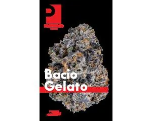 Bacio Gelato Eighth - 