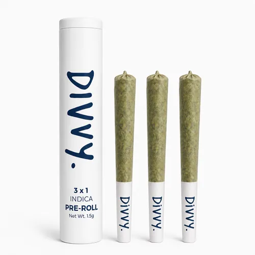 Gary Payton Pre Roll 0.5g x 3ct by Divvy - 0.500g PreRoll