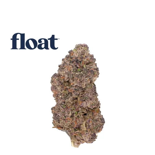 Purple PJs from  product image