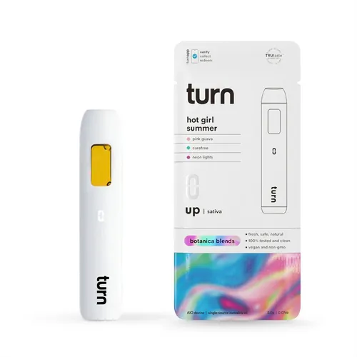 Hot Girl Summer Disposable from  product image