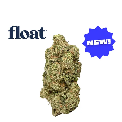 Nyc Dream -  cannabis product