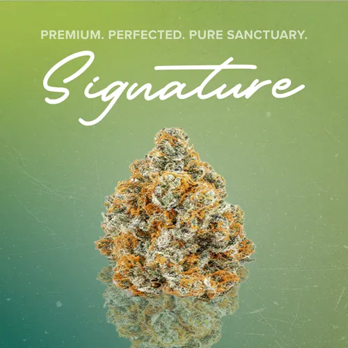 Black Maple Signature - 3.5g by Sanctuary Signature - 3.500g Unknown