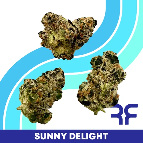 image of Sunny Daylight