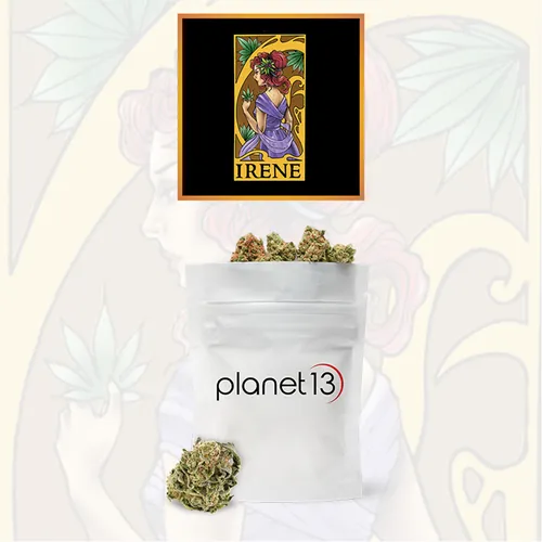 Irene Tier 2 - 