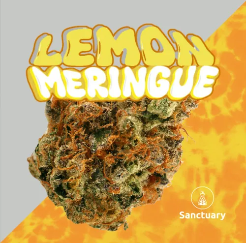{'strain': 'Lmon M.', 'strain_type': 'Sativa Hybrid', 'company': 'Sanctuary', 'brand': 'Sanctuary Cannabis', 'price': Decimal('22.00'), 'regular_price': Decimal('44.00'), 'thc': Decimal('31.10'), 'cbd': Decimal('0.00'), 'terps': Decimal('0.00'), 'grams': Decimal('3.500'), 'dollars_per_thcg': Decimal('20.210'), 'dollars_per_g': Decimal('6.290'), 'product_format': 'Flower', 'product_sub_format': 'Smalls', 'dispensary_cities': ['Sebring'], 'main_url': 'https://www.sanctuarymed.com/near-me/florida-cannabis-dispensary/sebring-fl-cannabis-dispensary?dtche%5Bproduct%5D=lmon-m-3-5g-small-bud', 'display_image_url': 'https://thchunter-images.s3.us-east-2.amazonaws.com/product_images/42cb388e-8f18-4763-9fb3-2fe3b775a065.webp', 'id': 12476260, 'company_logo_file': 'Sanctuary.jpg', 'company__premium_company': False, 'company__name': 'Sanctuary'}