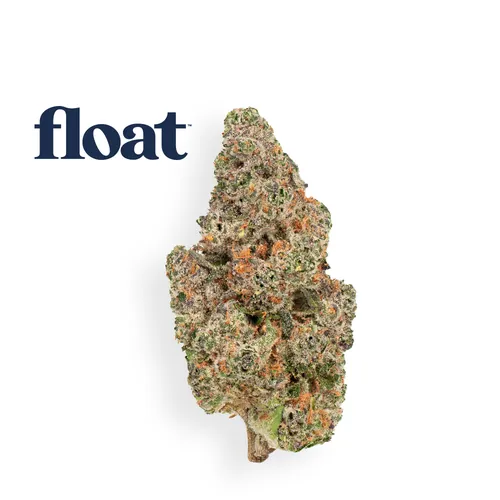Yumm Yum from  product image