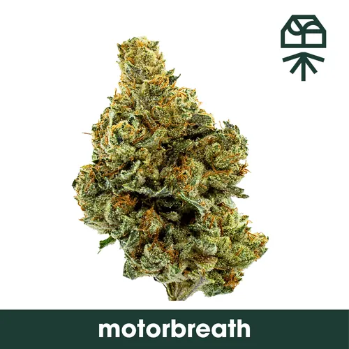 Motorbreath by Grassroots - 3.500g Whole