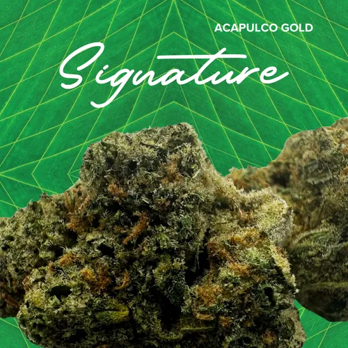 Acapulco Gold Signature - 3.5g by Sanctuary Medicinals - 3.500g Whole