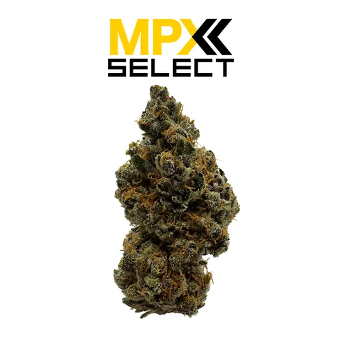 MPX Grass Valley Kush Flower from  product image