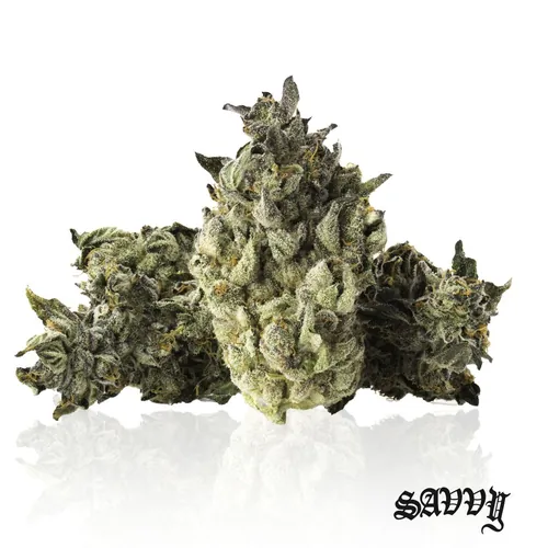 Vice City by Savvy - 7.000g Whole