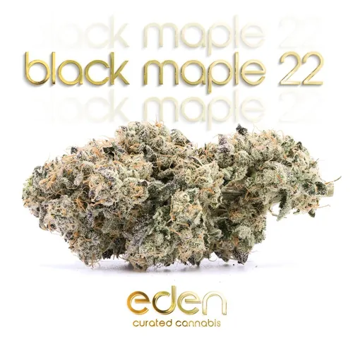 Black Maple 3.5g by Eden - 3.500g Whole