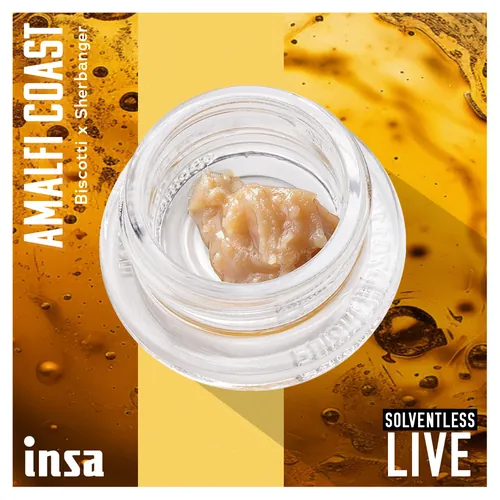 Live Rosin Cold Cure - Amalfi Coast from  product image