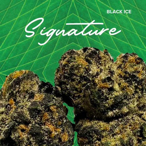 Signature  Black Ice - 