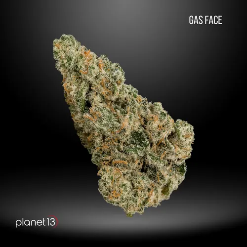 Leaf Vine Gas Face 1 8th -  cannabis product