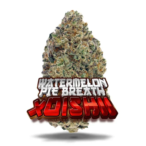 Watermelon Pie Breath x Oishii - Premium Flower by Jungle Boys - 3.500g Whole