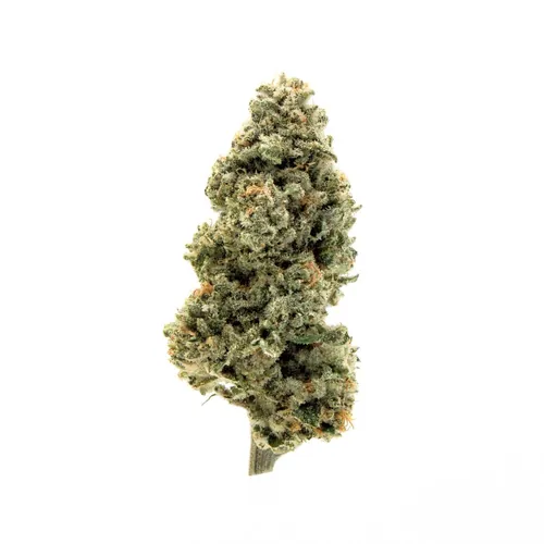 CHRY GLTO Pie Pre-Ground from  product image