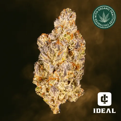 Chimera #4 by Ideal Cannabis - 3.500g Whole