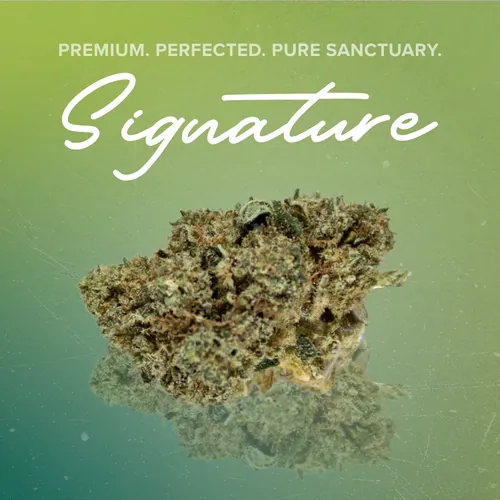 Yummy Signature - 3.5g by Sanctuary Signature - 3.500g Unknown