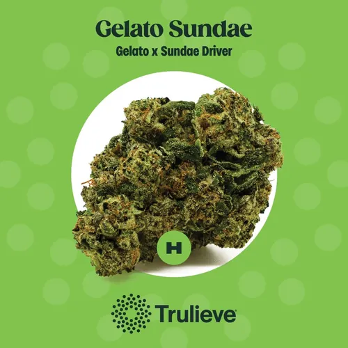 Gelato Sundae - 