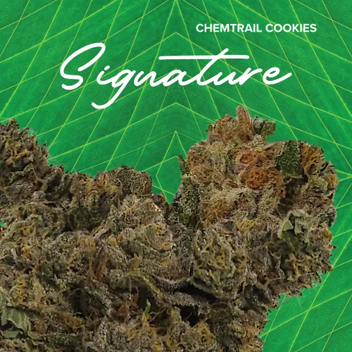 Signature  Chem. Ck - 