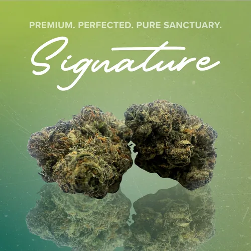 Black Plague Signature - 3.5g from  product image