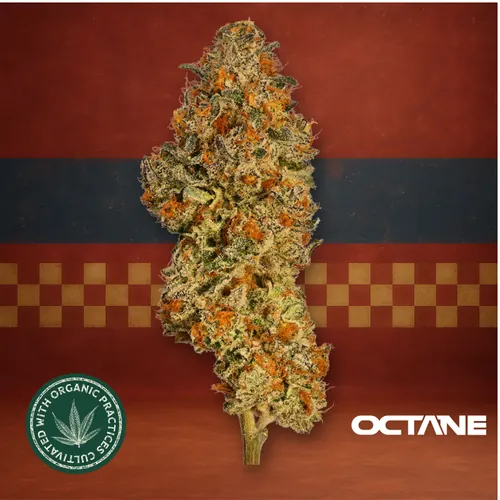 Gaschata by Octane - 3.500g Whole