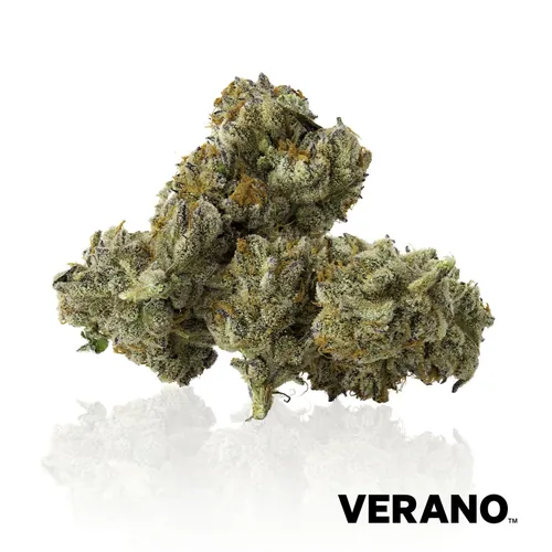 Gastro Pop from  product image