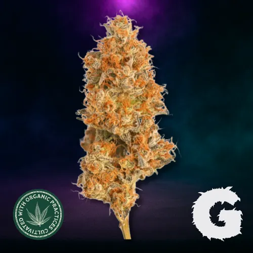 Zereals by G-Putt - 3.500g Whole