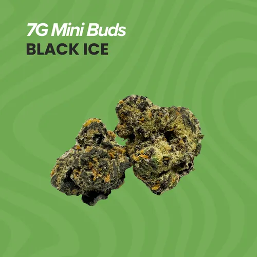 Black Ice   Mini Buds - 