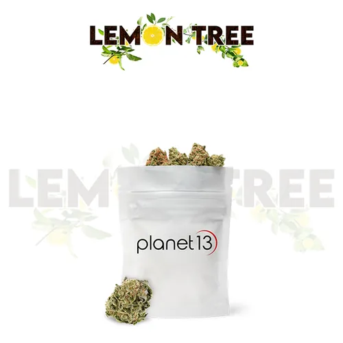 Leaf & Vine - Lemon Tree 1/8Th - 